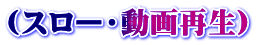 (スロー・動画再生)